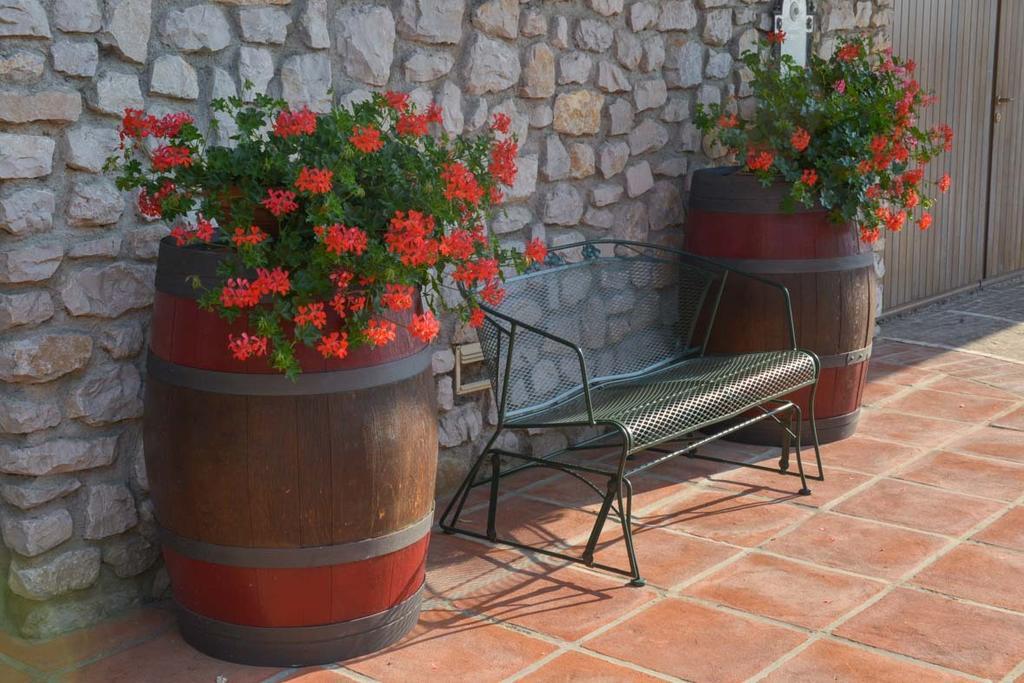 Agriturismo Kogoj Medea エクステリア 写真